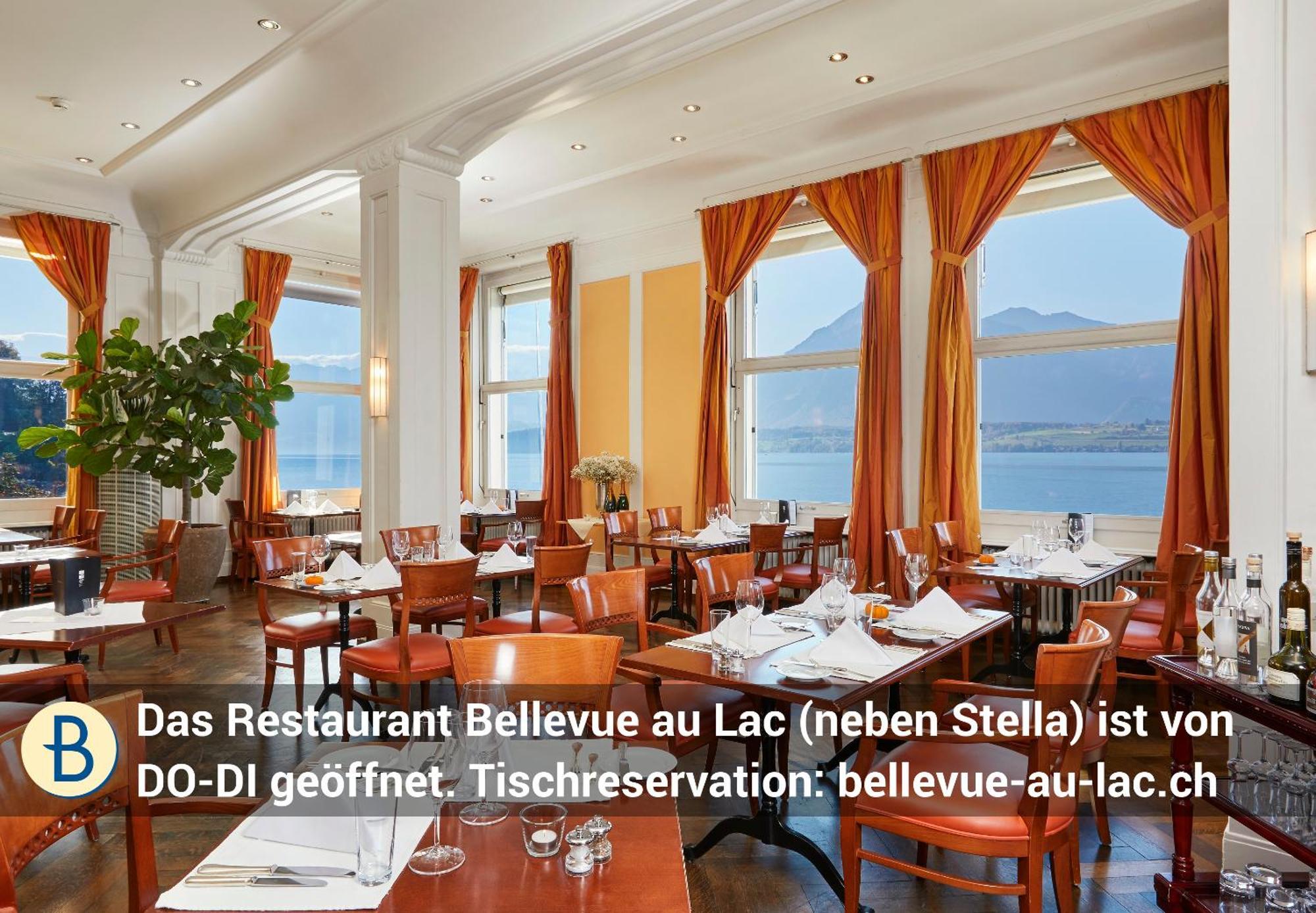 Dependance Stella Del Lago By Hotel Restaurant Bellevue Au Lac Thoune Extérieur photo